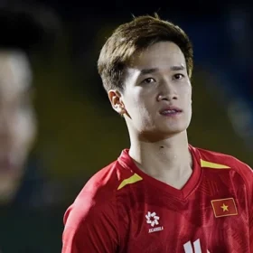 hoàng đức